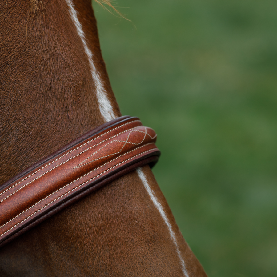 Close up photo of the hunter bridle noseband on a chestnut horse against a blurred green background 