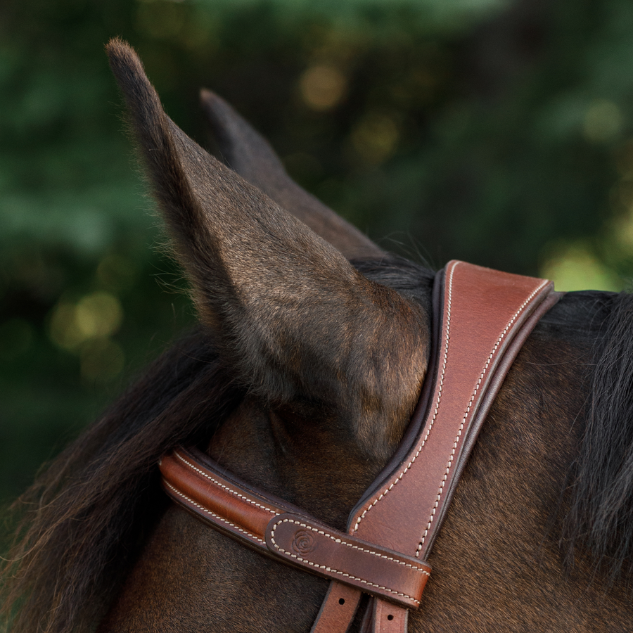Side profile close up photo of a bay horse wearing the CommonWealth Hunter Bridle against a blurred treed background. The photo focuses on the crownpiece and browband.