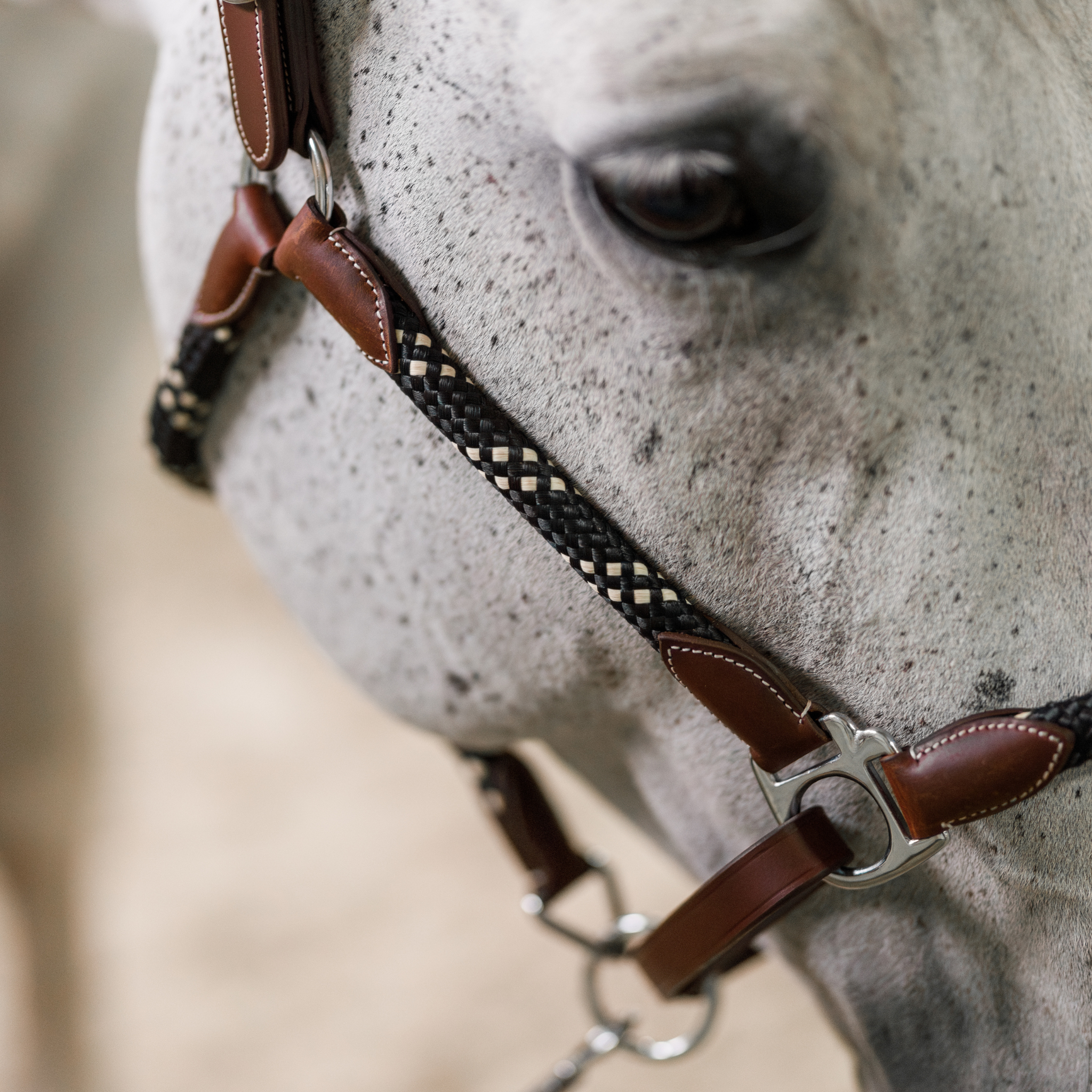 Banff Leather and Rope Halter Set
