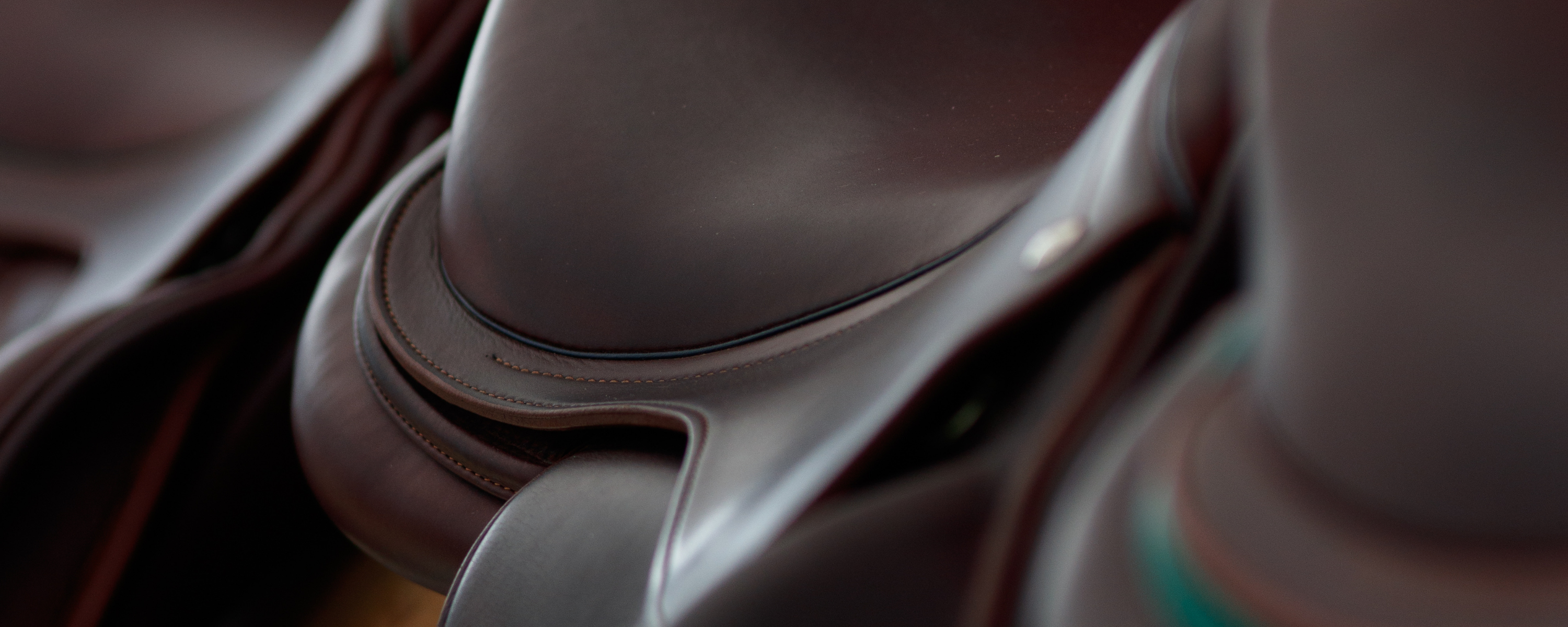 Close-up of brown leather English saddles with a blurred background