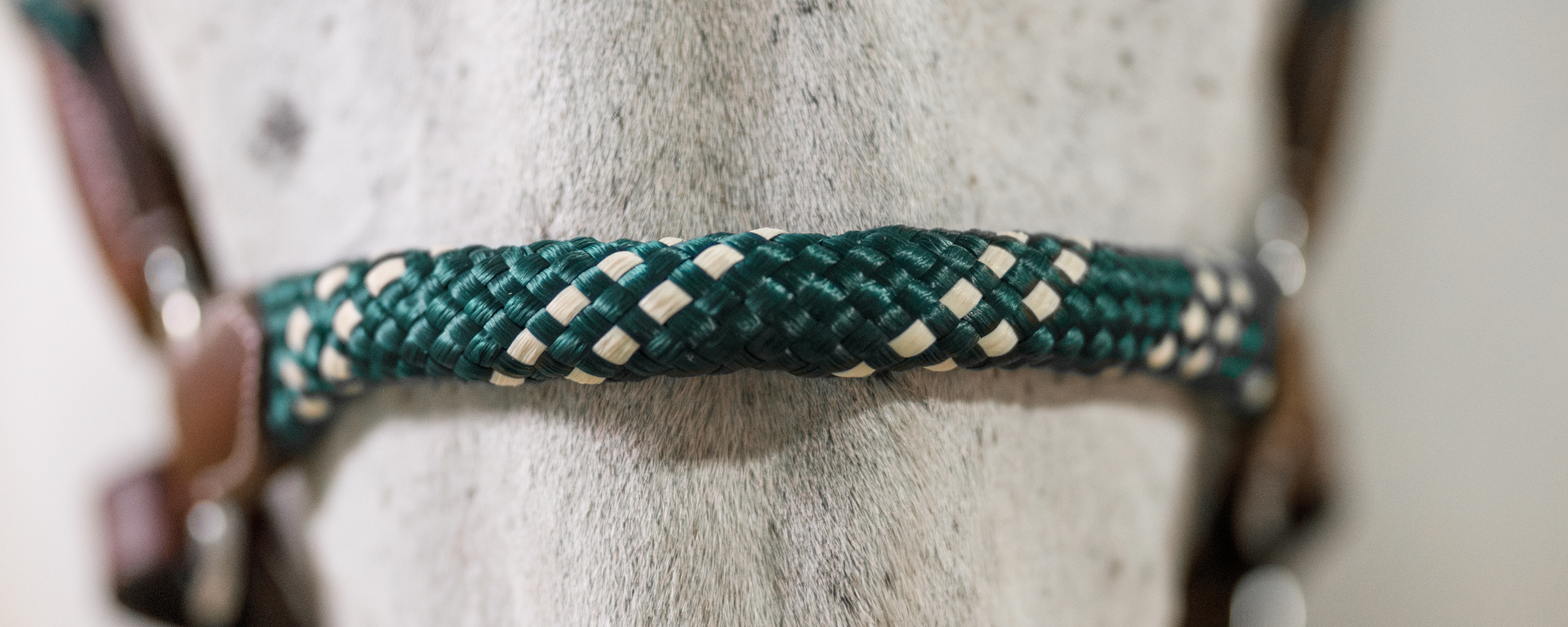 Close up of a horse's nose wearing the Banff Leather and Rope Halter in hunter green. The rope is green with cream accents and the leather is brown. 