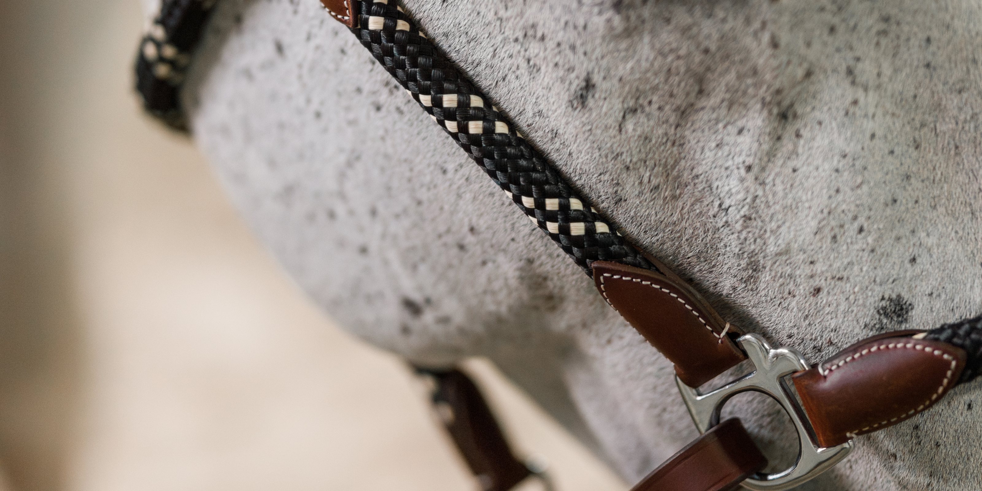 Close-up of a horse's right side profile, wearing a leather & rope halter. The rope is black & white and the leather is brown. 