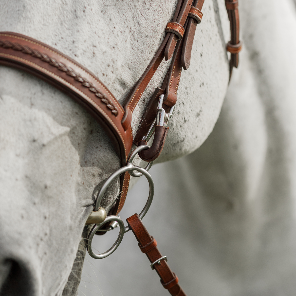 Braided Training Bridle
