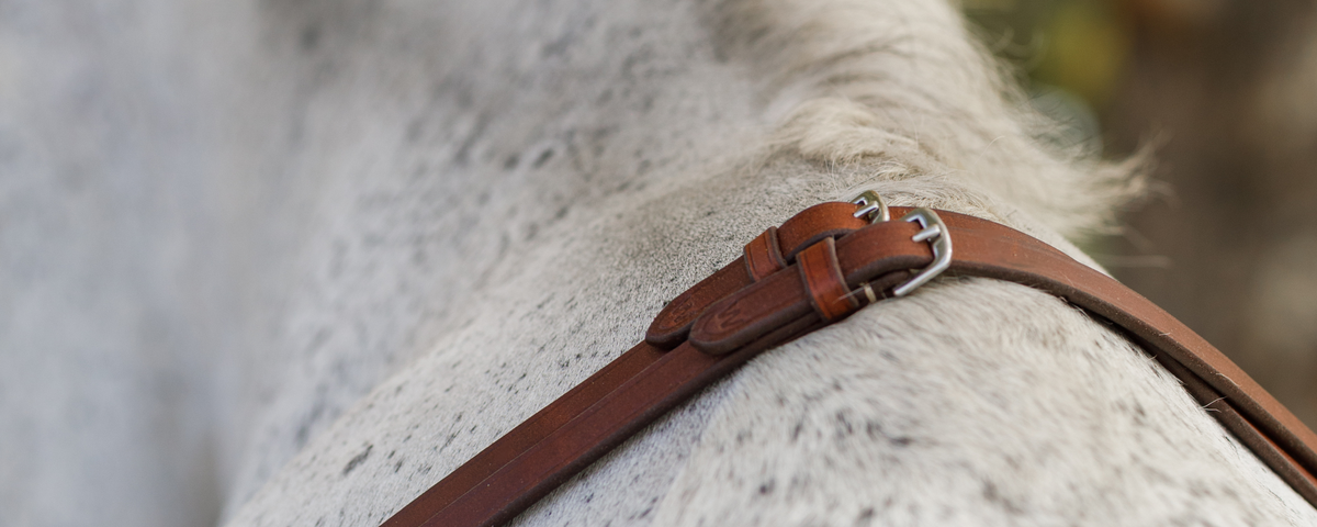 Brown double reins resting against a grey horse's neck.