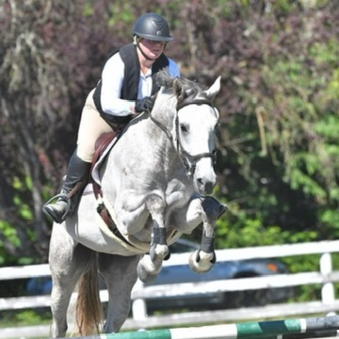 Horse and rider jumping over a vertical in an equestrian competition