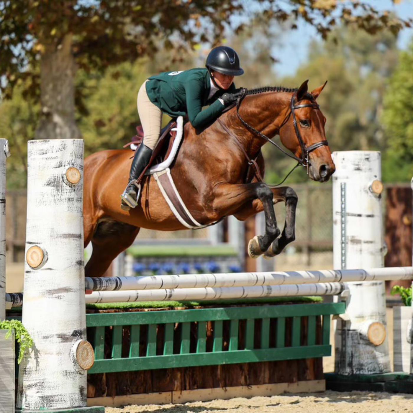 Hillary Howe and her horse jumping an oxer in the hunter ring at a horse show.