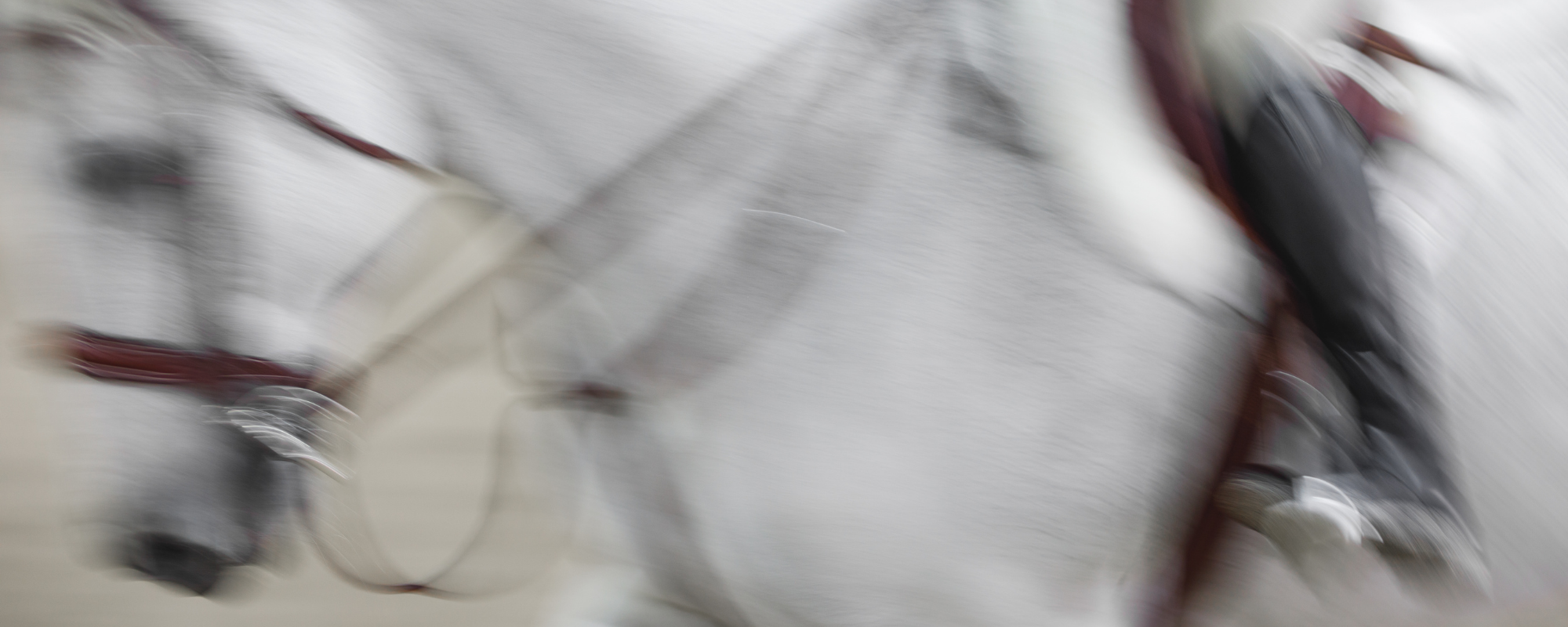 Close up motion blur image a horse and rider cantering by wearing a brown Hunter bridle, standing martingale, and hunter girth. 