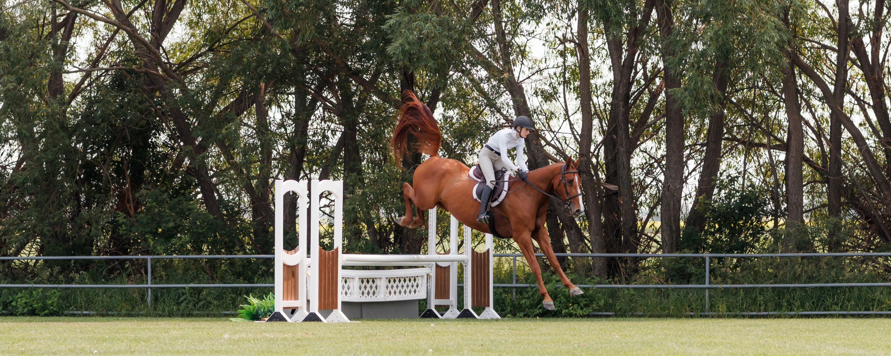 Chestnut horse and female rider jumping over a white oxer in a grass hunter ring. 