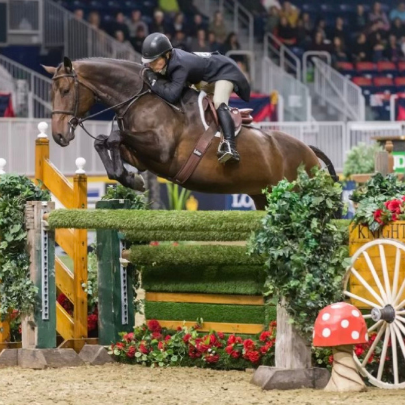 Isabelle Lapierre and Carrera S jumping over a green grassy oxer at a hunter horse show. 