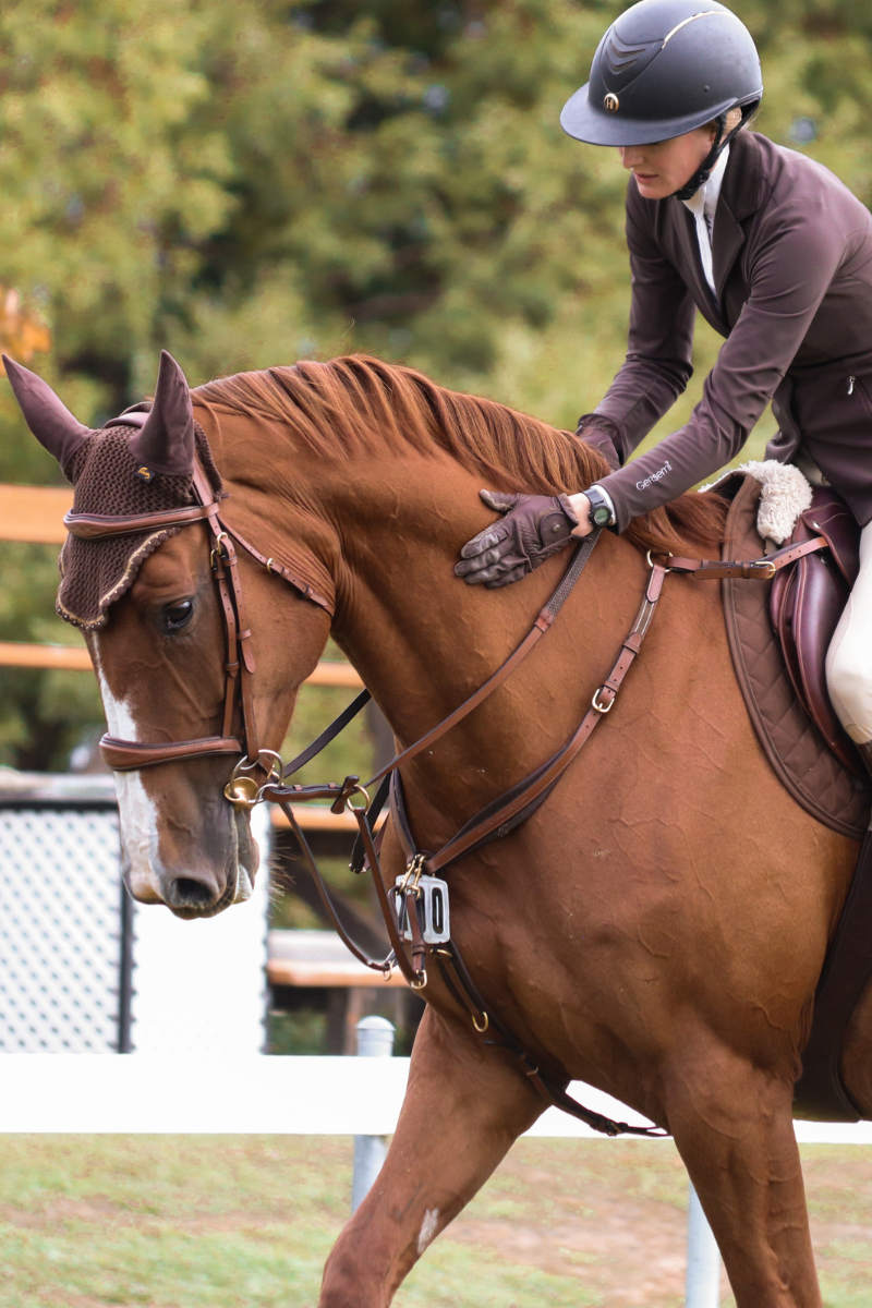 Rider sitting on a chestnut horse with a Meyer saddle and brown saddle pad, patting horse on the neck with a treed background at a horse show.