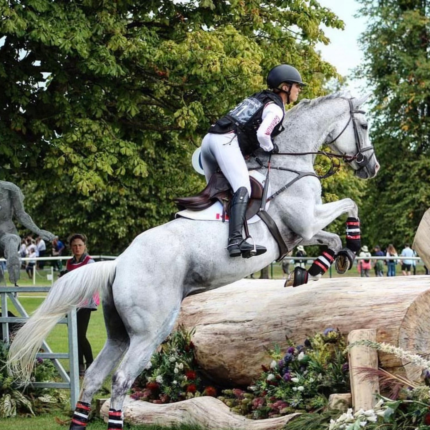 Jessica Phoenix and Wabbit jumping over a log with spectators in the background.