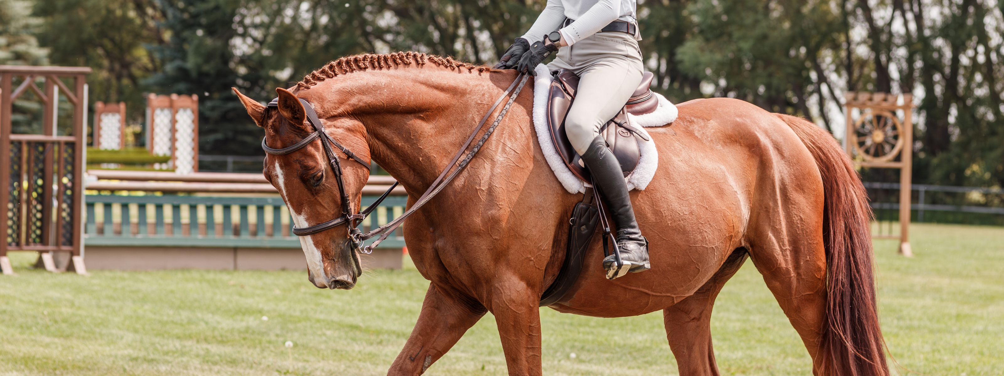 Chestnut horse and its rider walking out of the grass show ring after their hunter round. 