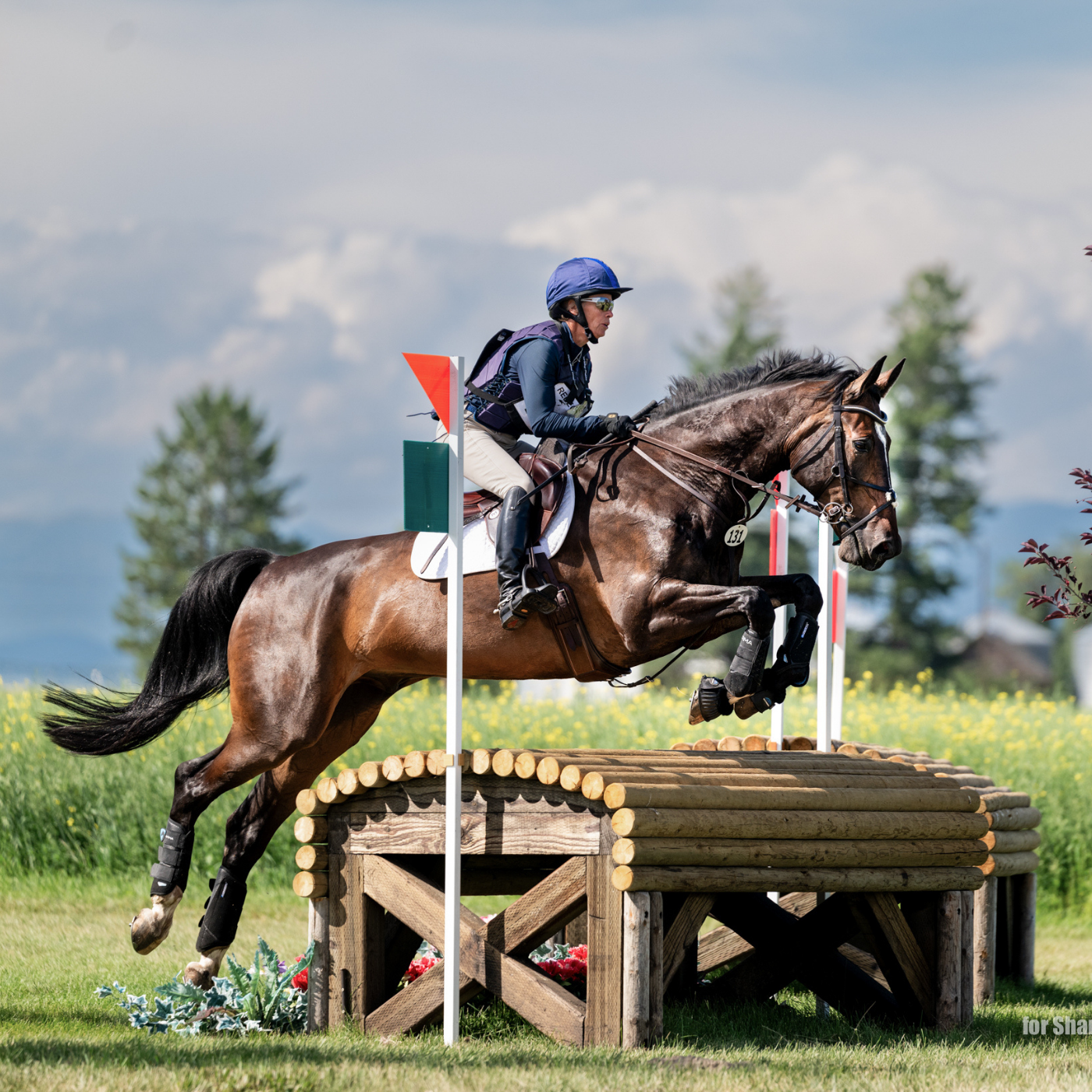 Lindsay Wagner and her horse jumping a cross country obstacle at an equestrian competition.