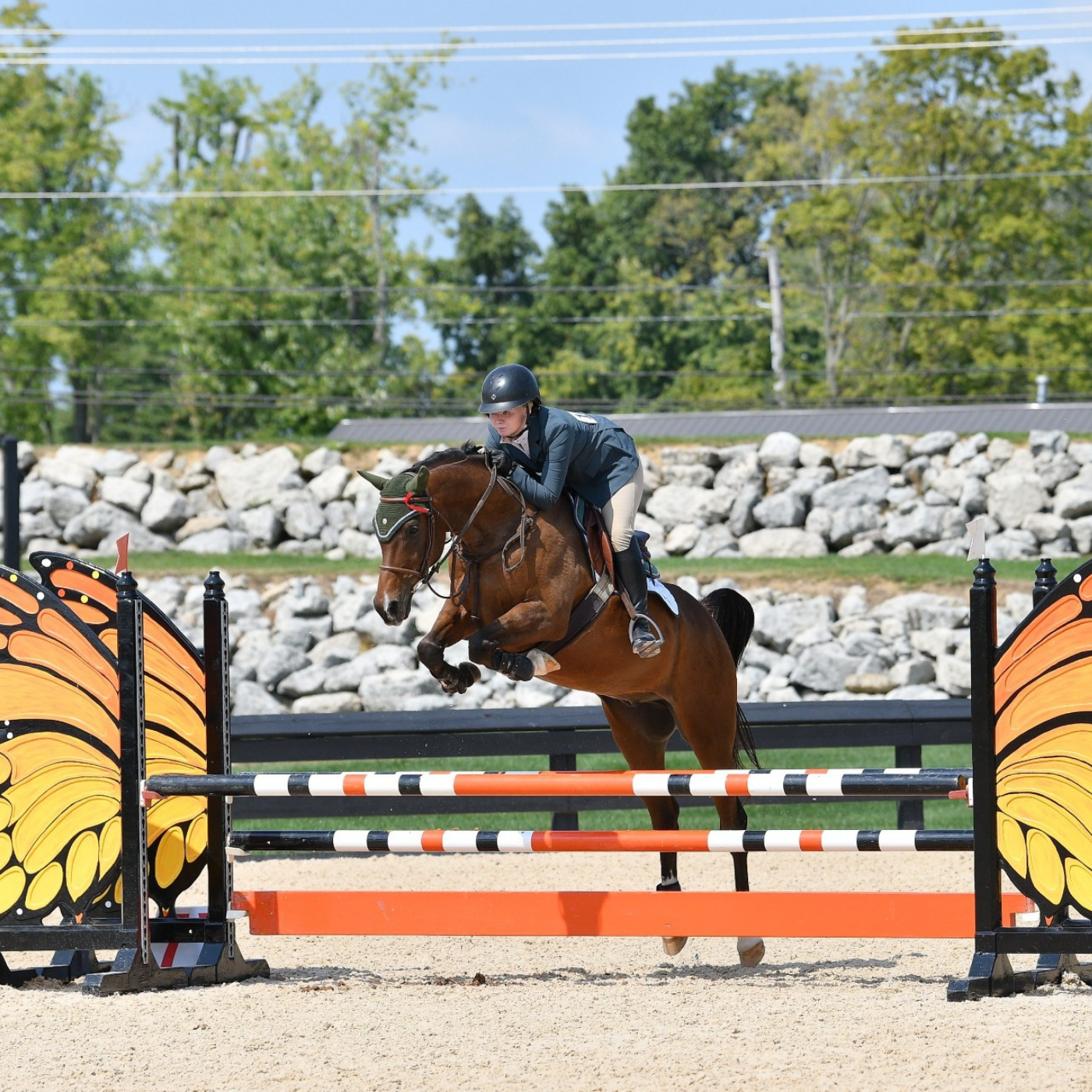 Mackenzie Gwin and her horse Dax jumping over an oxer with monarch butterfly standards. 