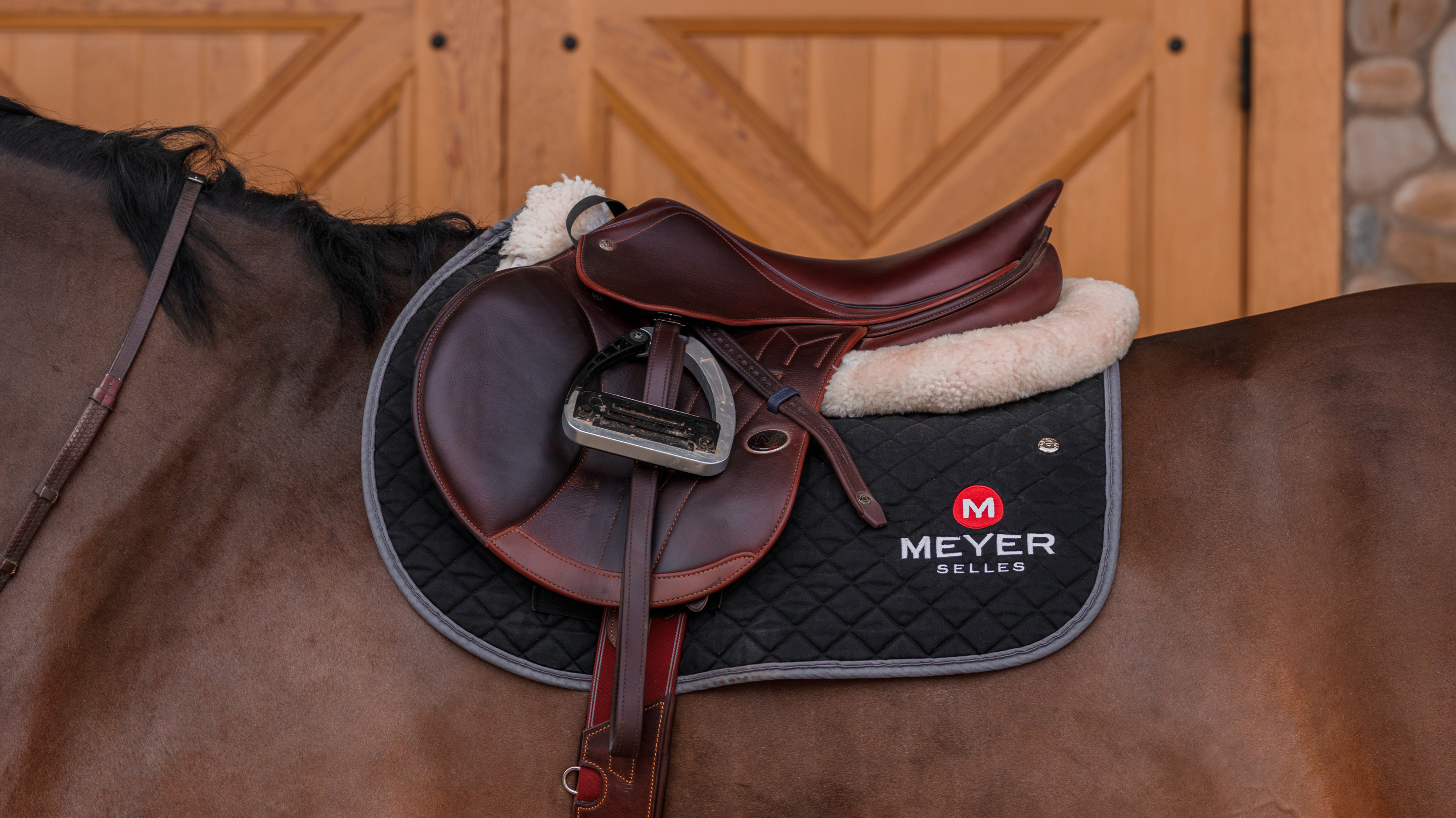 Photo of a bay horse wearing a Meyer Act 1 jump saddle in brown calf leather, with a white sheepskin half pad and black Meyer saddle pad underneath.