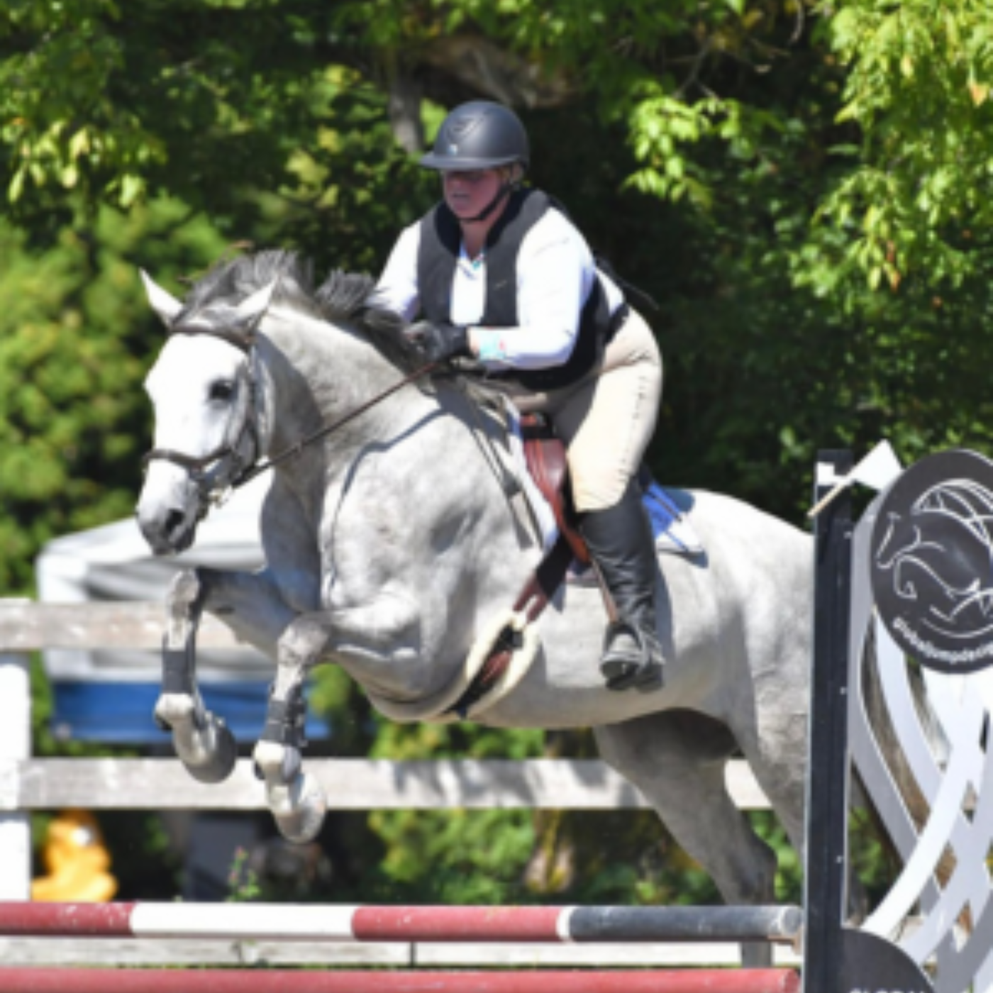 Horse and rider jumping over a vertical in equestrian competition