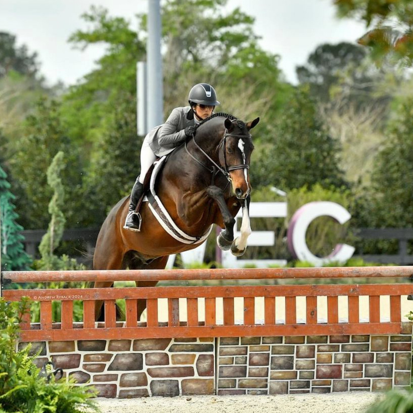 Sarah Lim Clements Berkowitz and her horse jumping a gate-style vertical in the hunter ring at WEC Ocala.