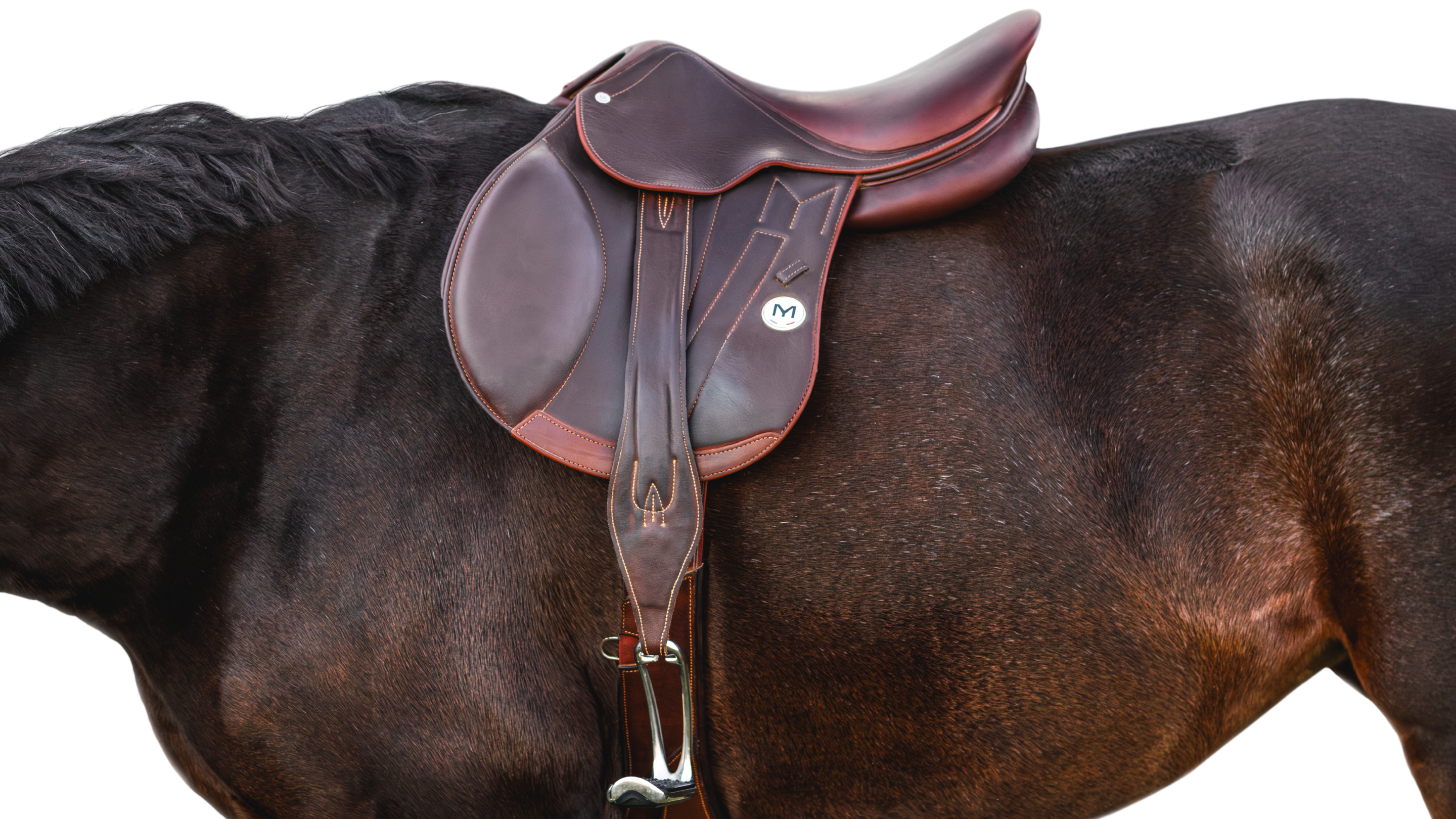 Close up photo of a brown Meyer Act 2 jump saddle sitting on the body of a bay horse against a white background