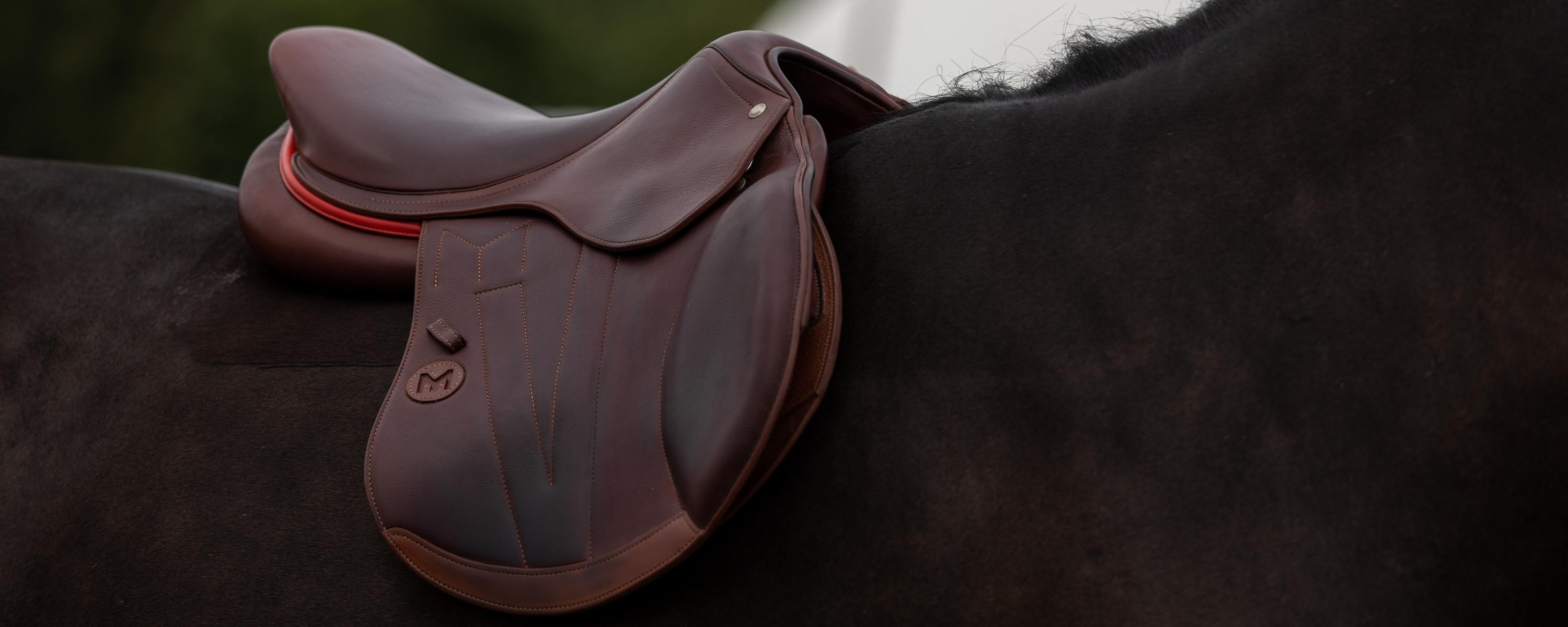 Close up photo of a brown Meyer jump saddle with red welting sitting on a bay horse's back during a saddle fitting appointment.