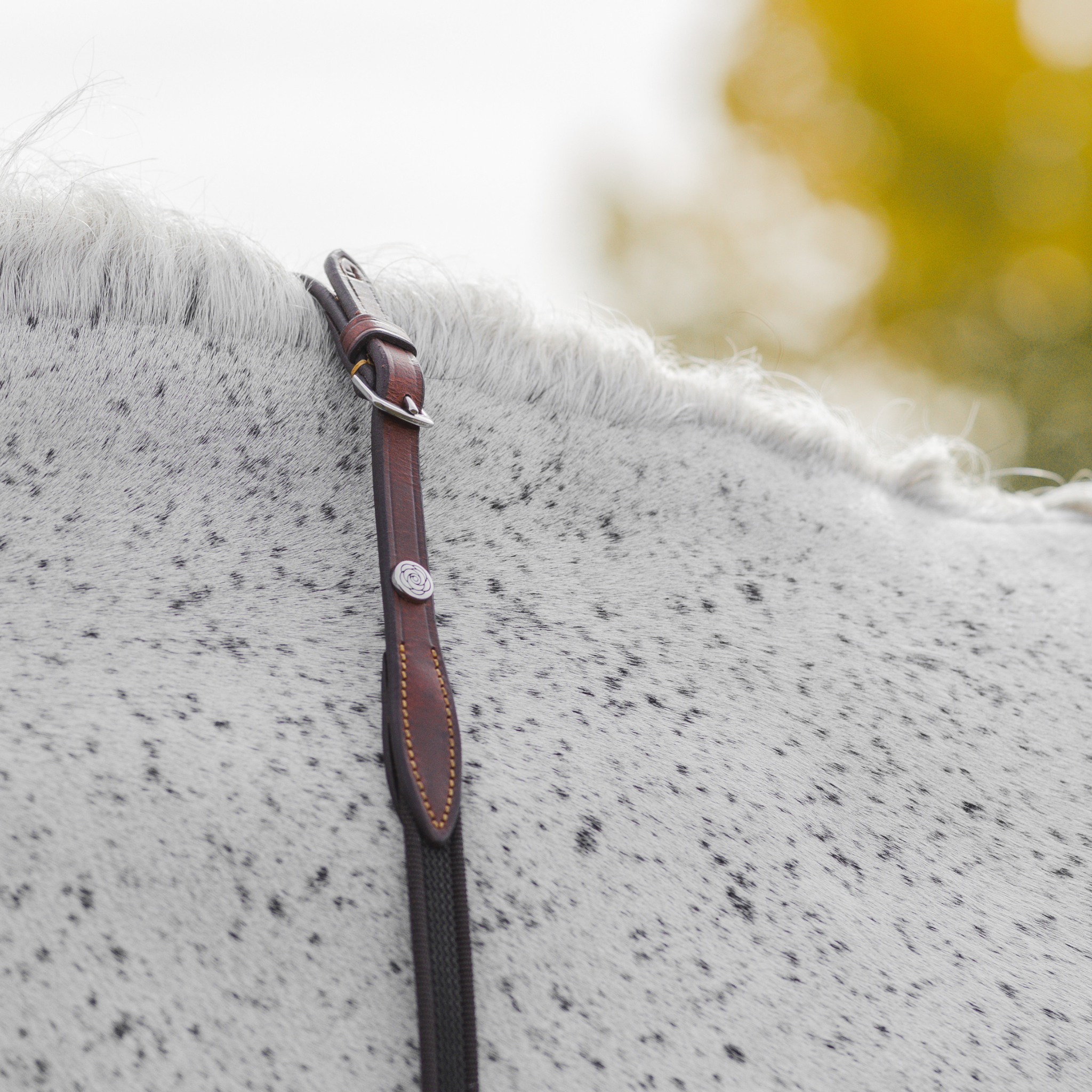 Close-up of a grey horse's neck with brown webbed reins draped over. Photo focuses on buckle end of reins and chrome peony logo pin. 