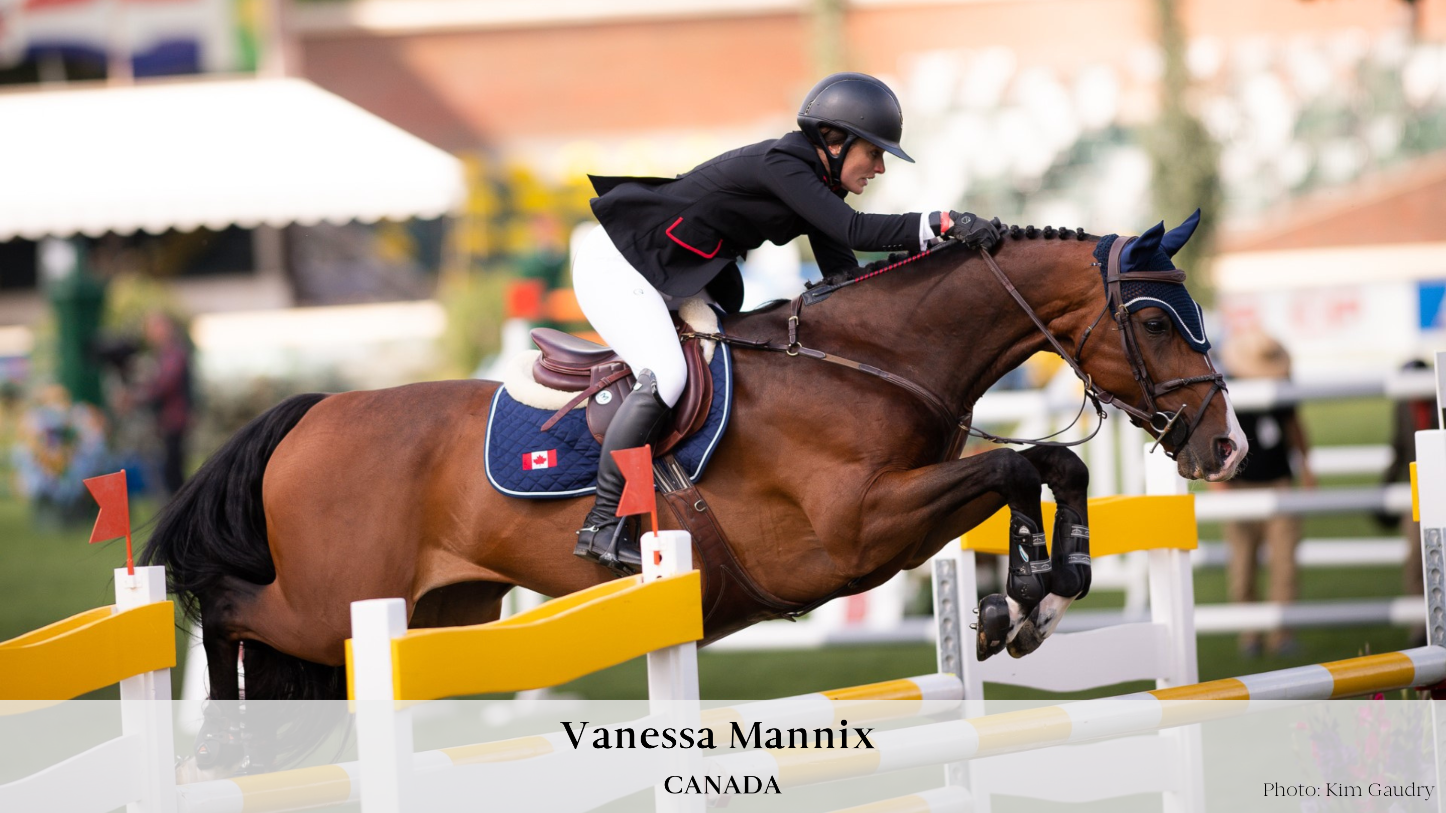 Candian showjumper Vanessa Mannix and her bay gelding Lehar jumping over a large yellow oxer at Spruce Meadows